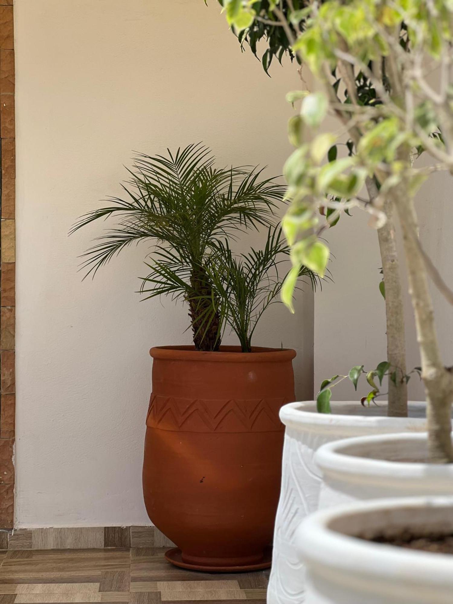 Riad Safia ราบัต ภายนอก รูปภาพ